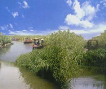 怎樣把握去沙家浜的最佳旅游時(shí)間