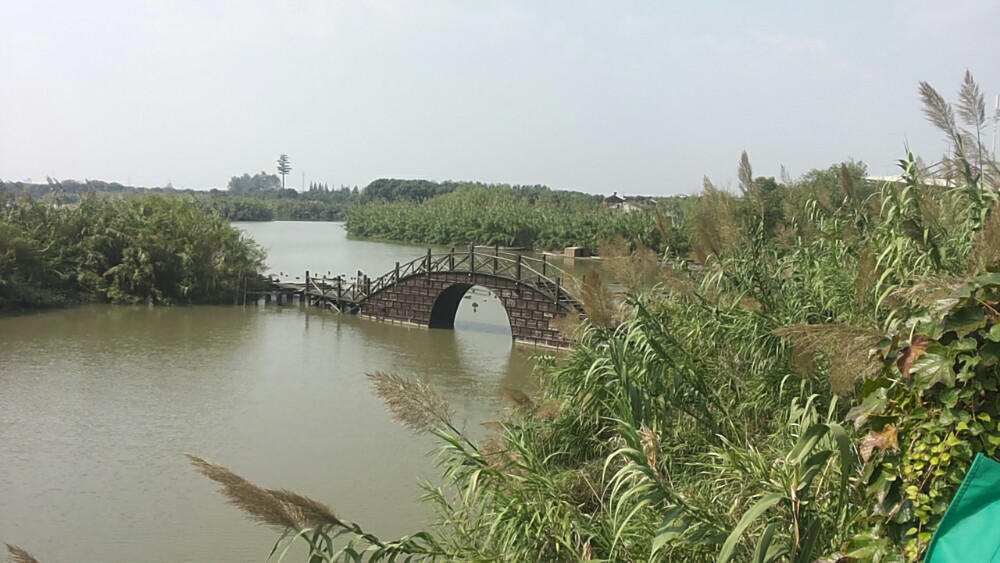 沙家浜風(fēng)景區(qū) 與朋友一同探索常熟的水鄉(xiāng)風(fēng)情