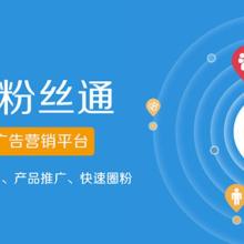 上?；鹚倬W(wǎng)絡(luò)科技股份 數(shù)據(jù)科技領(lǐng)域的技術(shù)服務(wù)先鋒